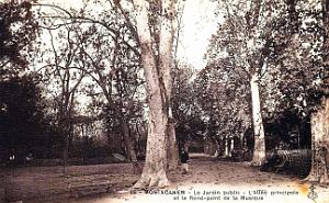 Mostaganem - Jardin - Public - Allee et Rond-Point de la Musique